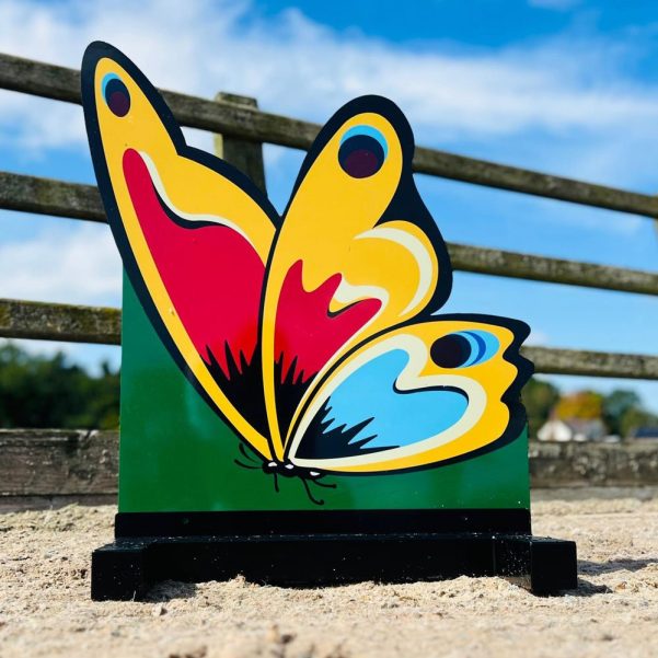 Butterfly Filler
