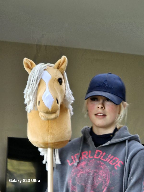 Hobby Horses - Image 11
