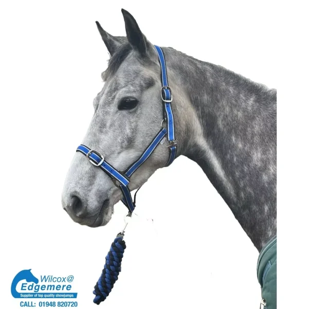 Quality Everyday Head and Lead Rope