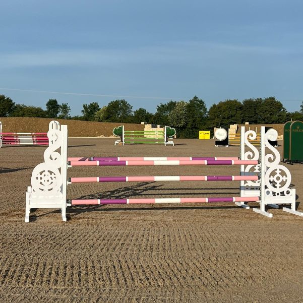 Prison Wings double pvc panel on both sides  Height 180 x Width 110 cm (Pre-Order Only ) Pair wings only