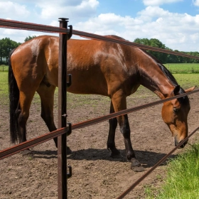Product number: 007608 TurboLine tape 20mm (white, 200 metres) - Image 2