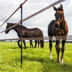 Product number: 072439 TurboStar tape 40 mm (white, 100m) - Image 5