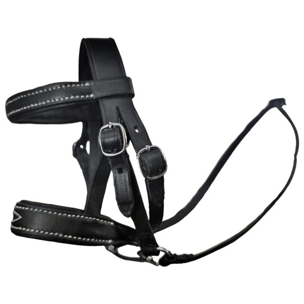 Equimed Toy Pony Bridle  – Real Leather – Educational Toy – Suitable for Ages 3+