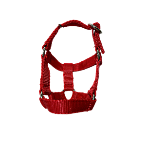 Equimed  Toy Pony Head Collar – Black or Red – Fits the Equimed Toy Pony