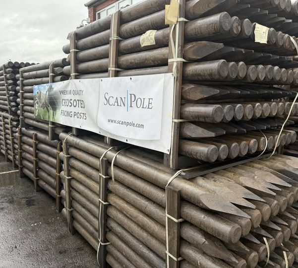 Scanpole Creo Posts 40 year life exspectancy