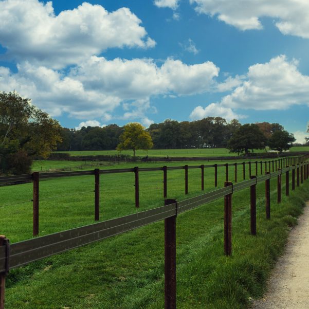 Horserail all products online soon if you wish to order please call the office 01948820720