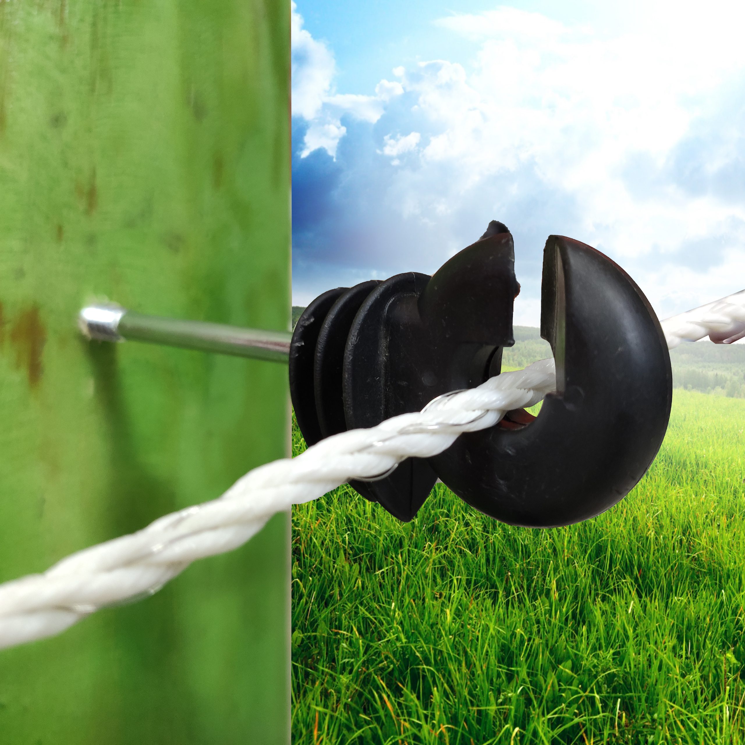 Ring Insulator packs 25/50/10/300 5.8 mm Screw, Fits Wire & Rope up to 1/2