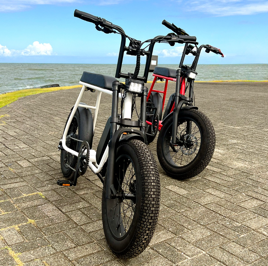Bertie Eventer 750 W Model - Image 17