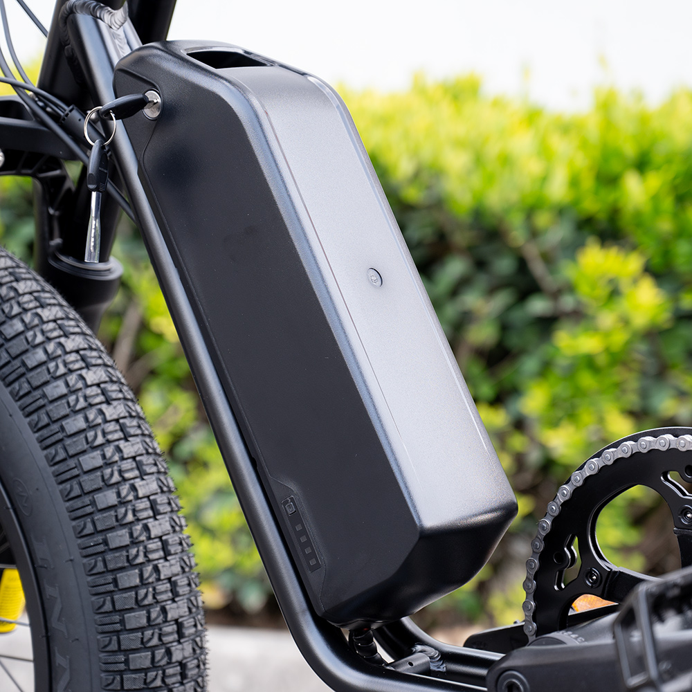 Bertie Eventer Duo 1000 (1000W Long Seat Bike for 2 people) - Image 9
