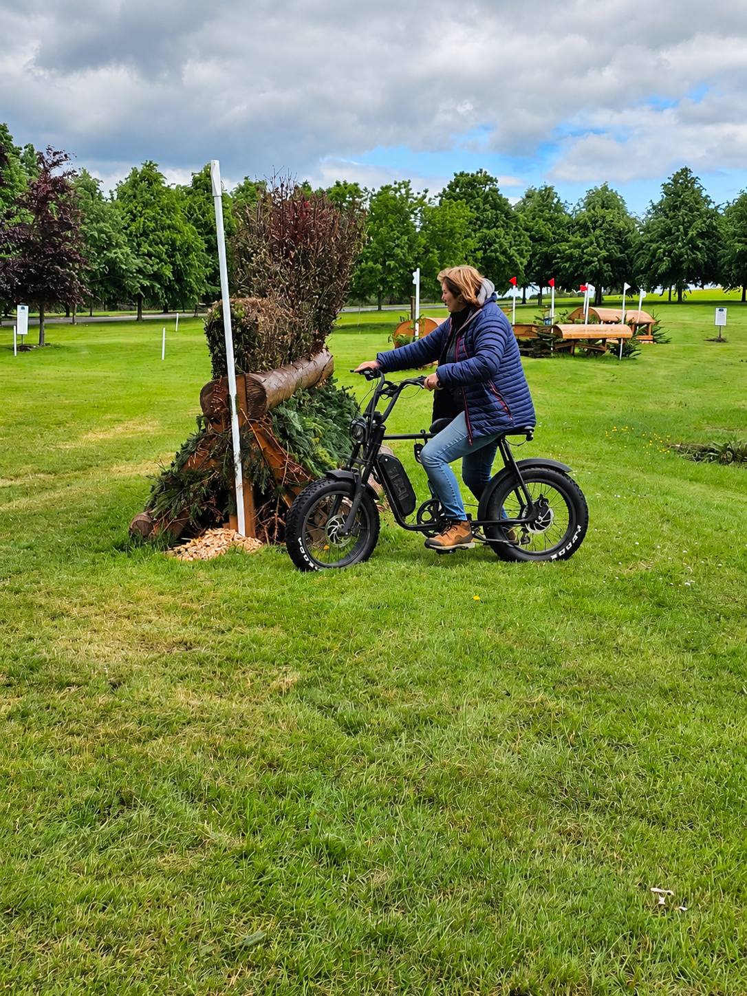 Bertie Eventer Duo 1000 (1000W Long Seat Bike for 2 people) - Image 2