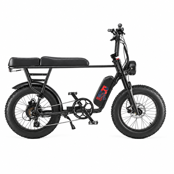 Bertie Eventer Duo 1000 (1000W Long Seat Bike for 2 people)