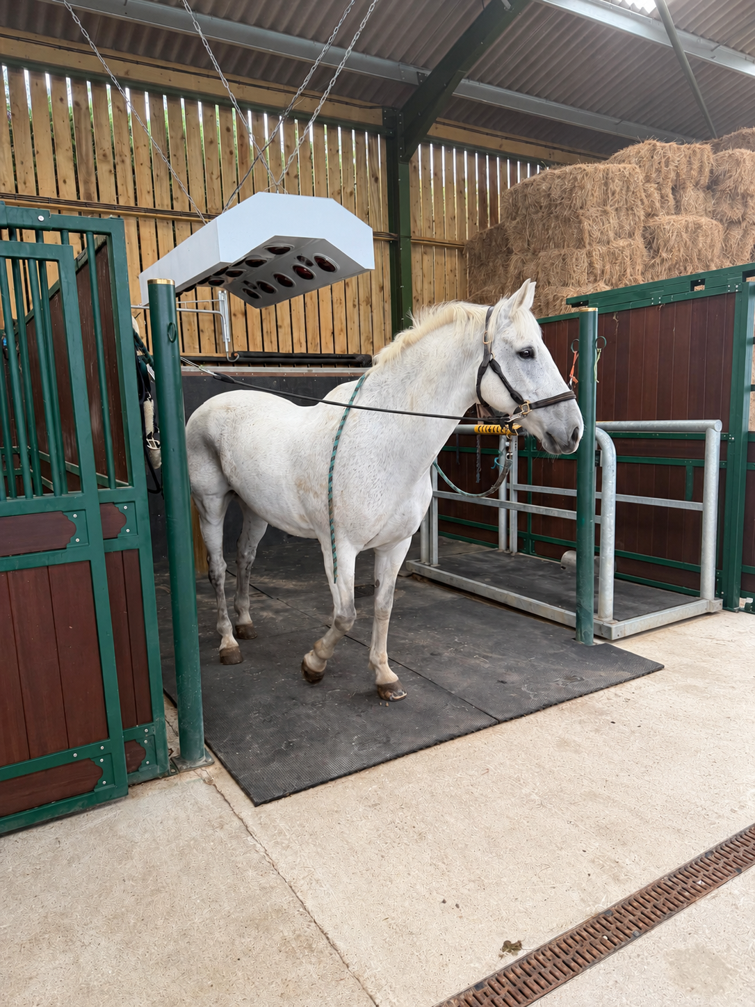 Equine Solarium Models (Pre Order)